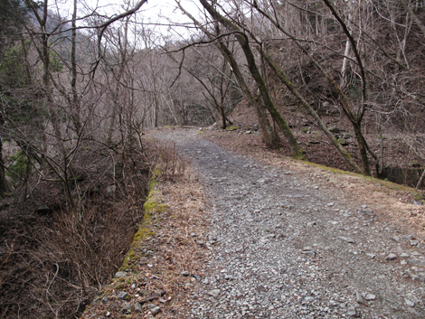 20160204hike (57)